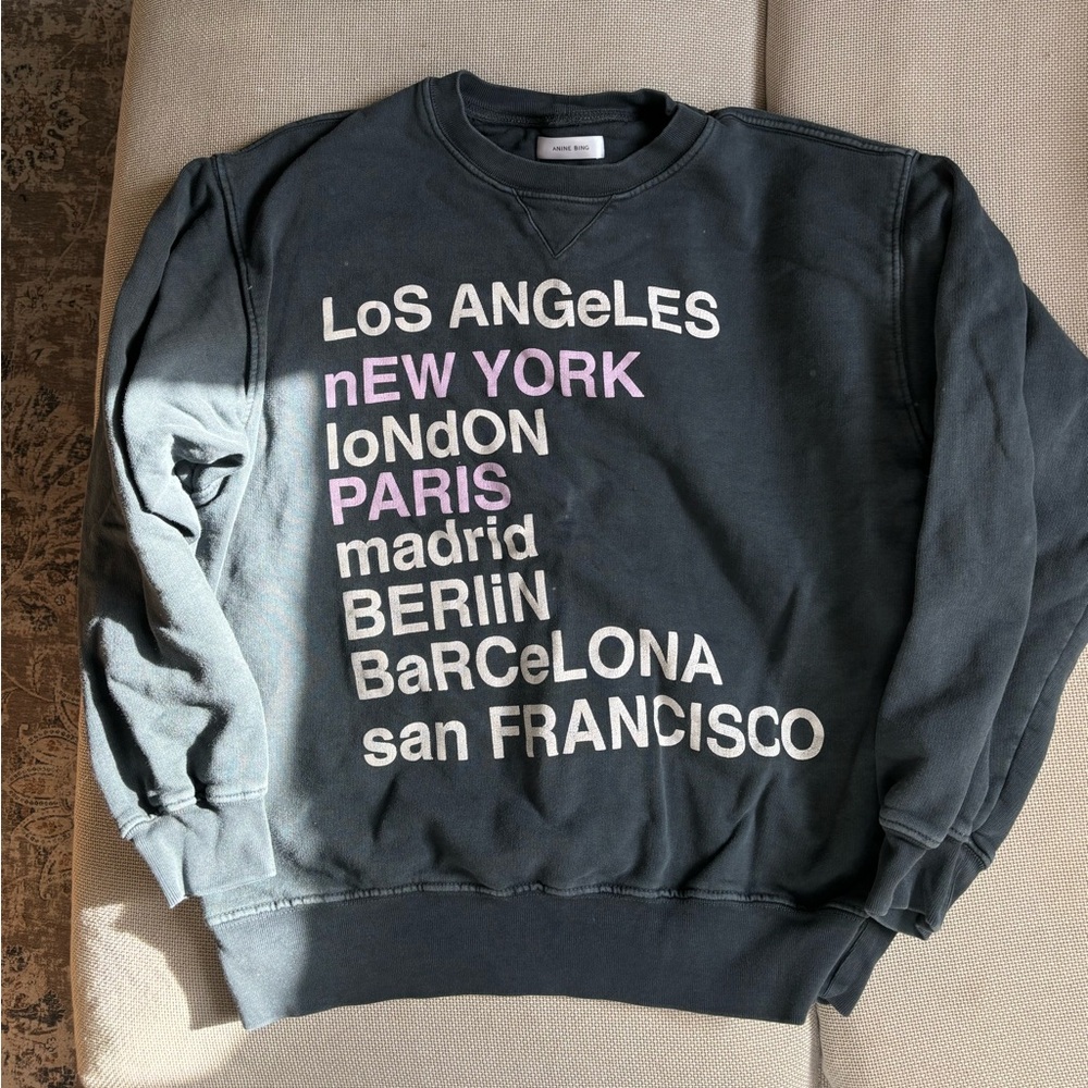 Anine bing crewneck
